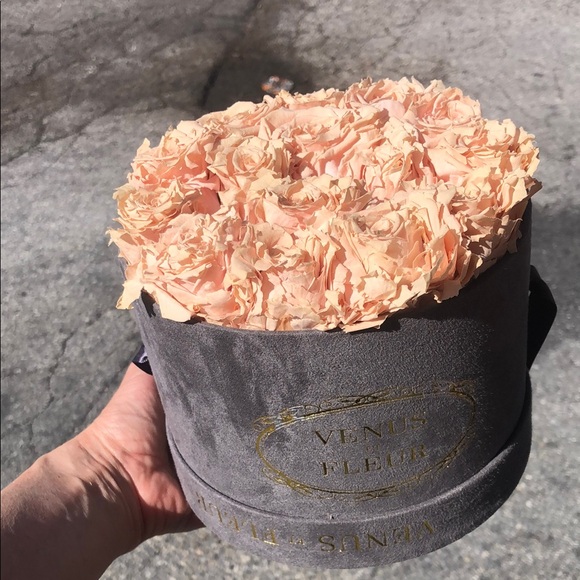 venus et Fluer Other - VENUS  ET FLEUR Pink Roses in Gray Hat Box.